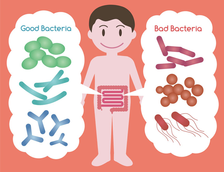 Prebiotics-101